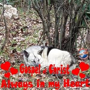 Meet your Posher, Larry